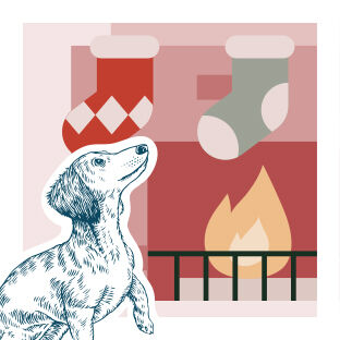 illustration of dog looking up at stockings on mantle