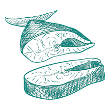 illustration of raw fish