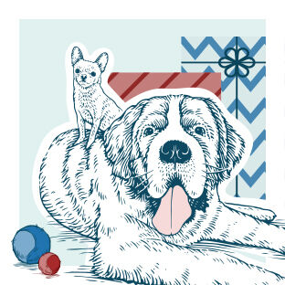 illustration of two dogs with two sizes of ball toys