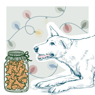 illustration of dog with jar of treats and lights in background