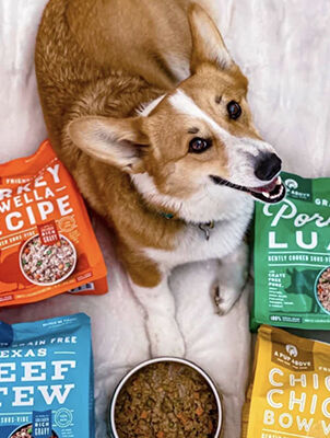 dog laying with bowl of food and bags of A Pup Above dog laying with bowl of food and bags of A Pup Above