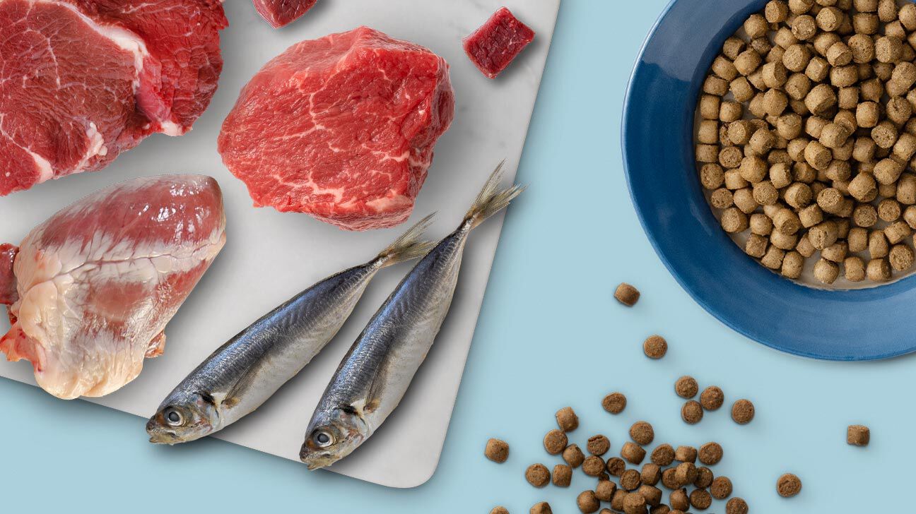 visual of main ingredients in steam & dried recipes