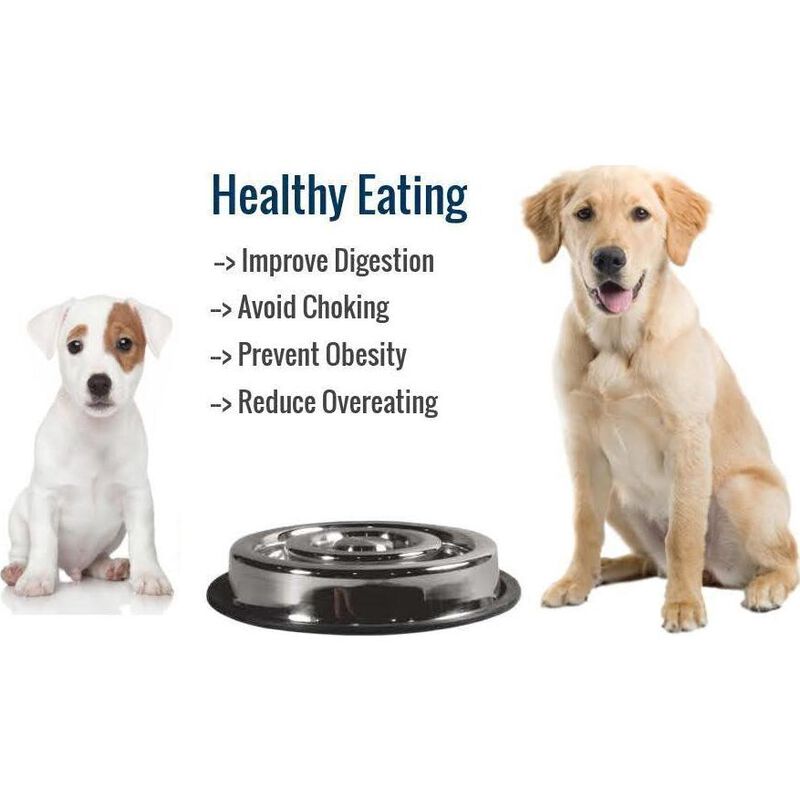 Indipets Stainless Steel Spiral Slow Feed Dog Bowl image number null