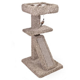 Ware Pet Products Scratch N Nest with Bed Cat Scratcher