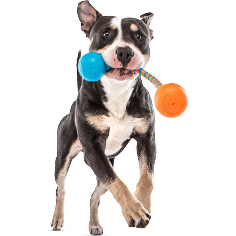 Guru Pet Company Dog Toy, Squeaking Rope image number null