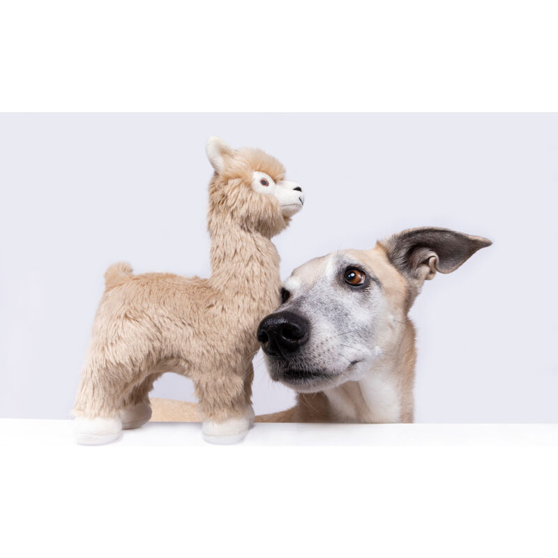 Fluff & Tuff Dog Toy, Inca Alpaca, Medium image number null