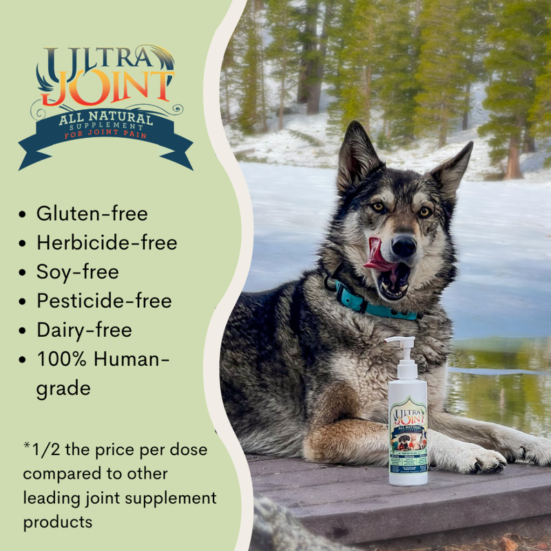 Ultra Oil Joint Dog & Cat Supplement, 16-oz image number null