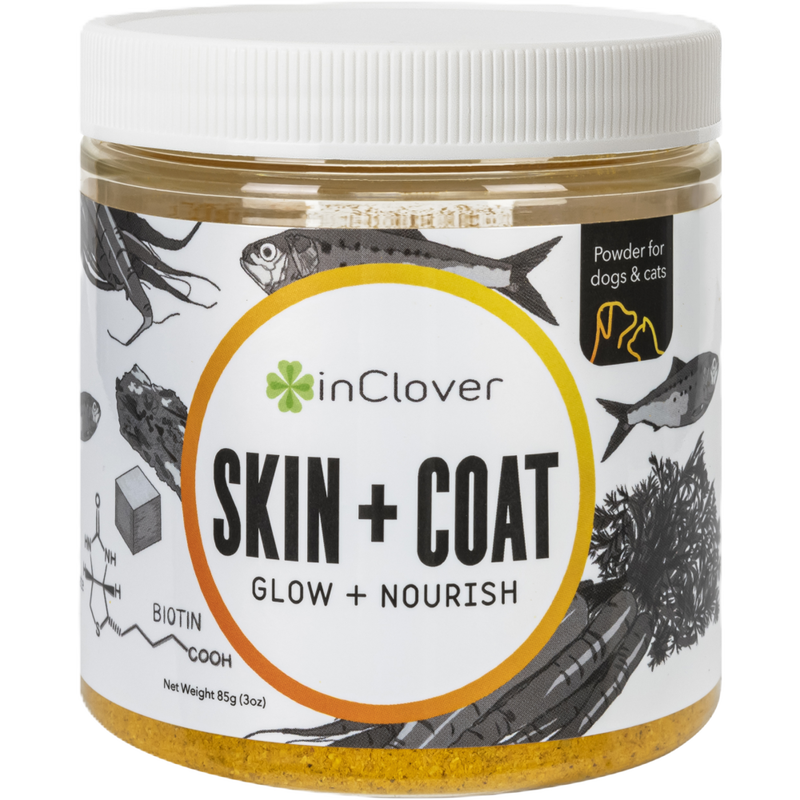 InClover Powder Dog & Cat Supplement, Skin + Coat, Glow + Nourish, 85-g image number null