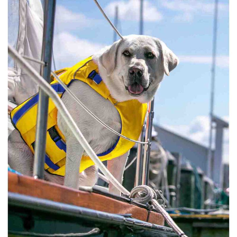 BayDog Monterey Bay Dog Life Jacket, Yellow image number null