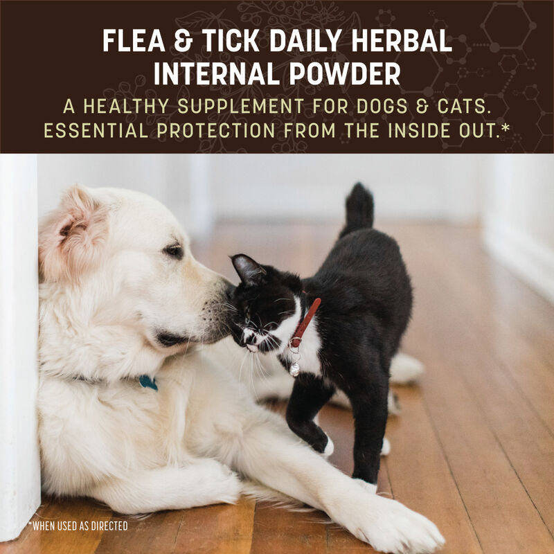 Earth Animal Nature's Protection Flea & Tick Herbal Yeast-Free Daily Internal Powder Dog & Cat Supplement, 8-oz image number null