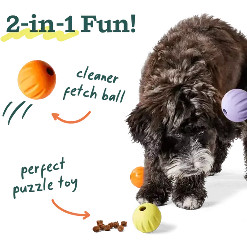 Woof Forager Flyball Dog Toy, Lavender image number null