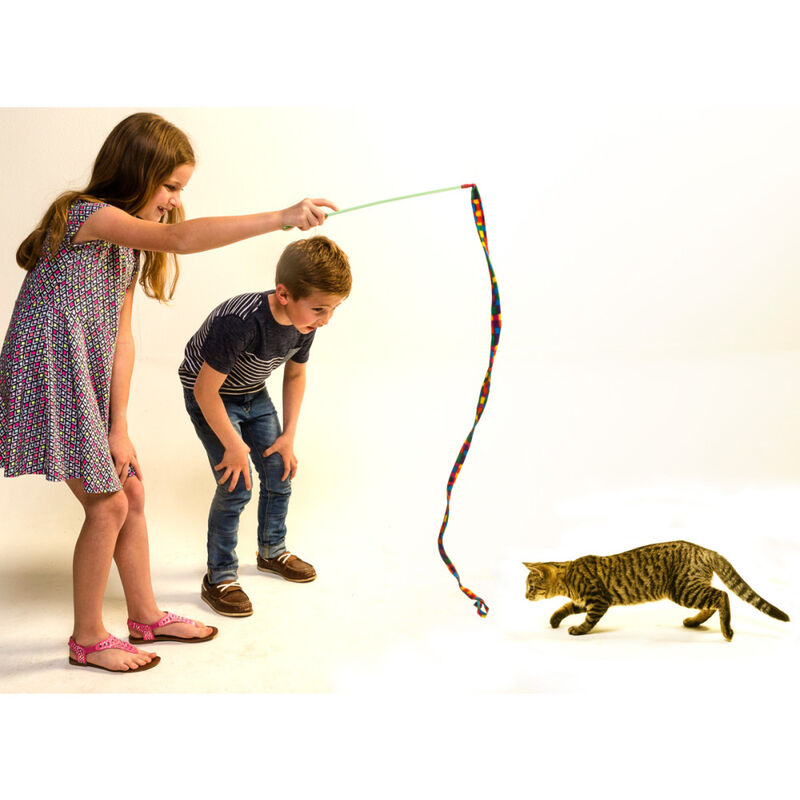 Cat Dancer Products Cat Charmer Cat Toy image number null