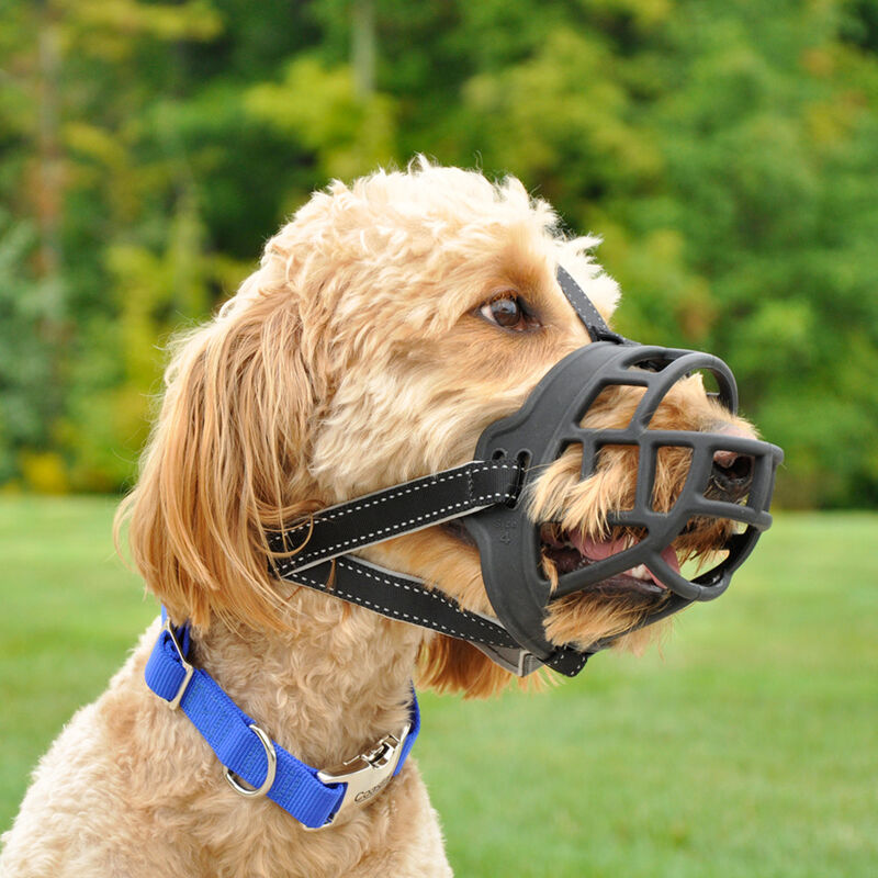 Coastal Soft Basket Dog Muzzle image number null