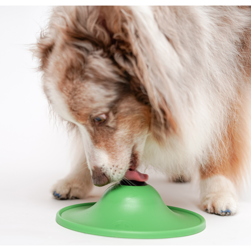 Stashios Soothing Sauce Dog Treat, Calming, Beef Bone Broth, 3-oz image number null