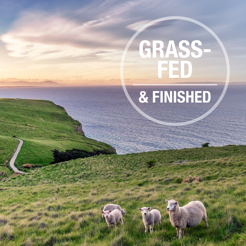 Feline Natural Freeze-Dried Cat Food, Lamb, 11-oz image number null