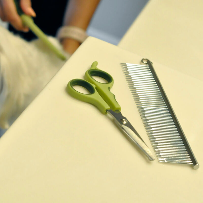 Safari Grooming Dog Comb for Medium and Fine Coats image number null