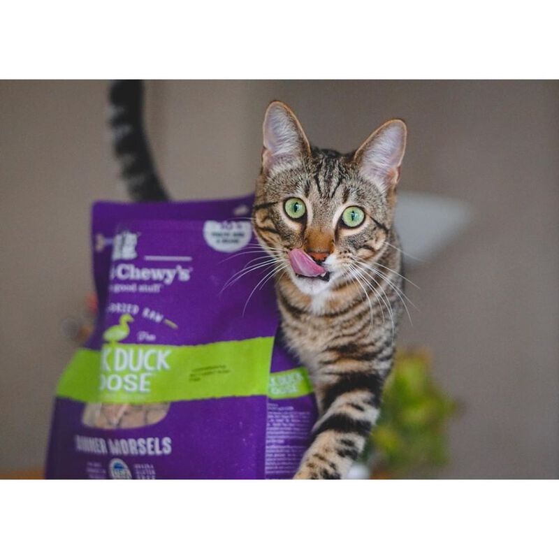 Stella & Chewy's Dinner Morsels Raw Freeze-Dried Cat Food, Duck Duck Goose, 3.5-oz image number null