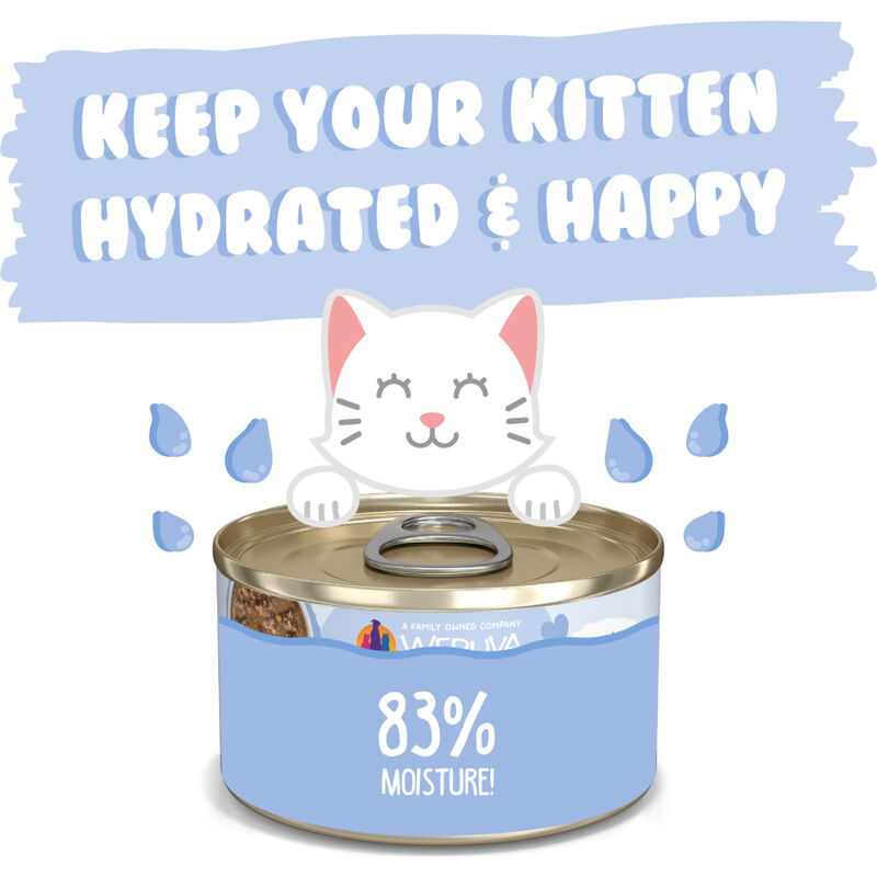 Weruva Kitten Canned Cat Food, Chicken & Pumpkin in Gravy, 3-oz image number null