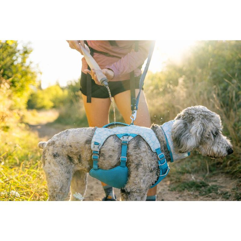 Ruffwear Swamp Cooler Dog Cooling Harness, Biolumin Blue image number null