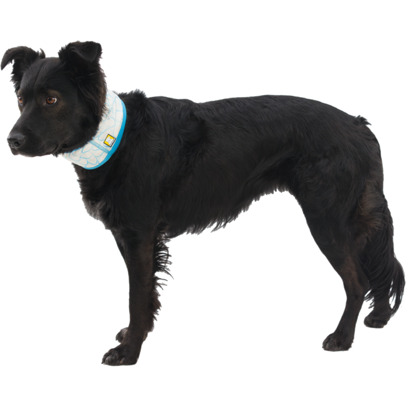 Ruffwear Swamp Cooler Dog Cooling Neck Gaiter, Biolumin Blue image number null