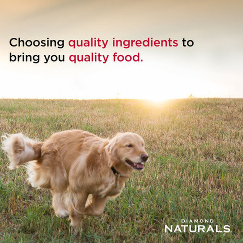 Diamond Naturals Dry Dog Food, Skin & Coat, Salmon, 30-lb image number null