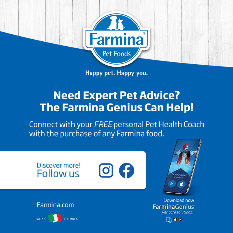 Farmina N&D Quinoa Dry Dog Food, Weight Management, Lamb image number null