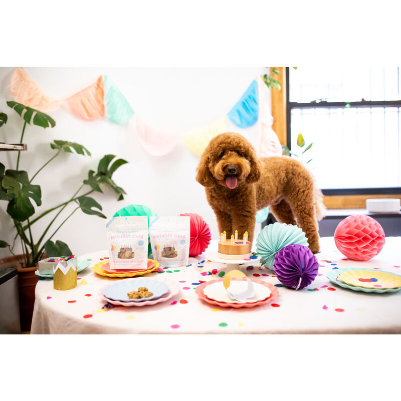 Bocce's Bakery Oven-Baked Biscuit Dog Treats, Birthday Cake, 5-oz image number null