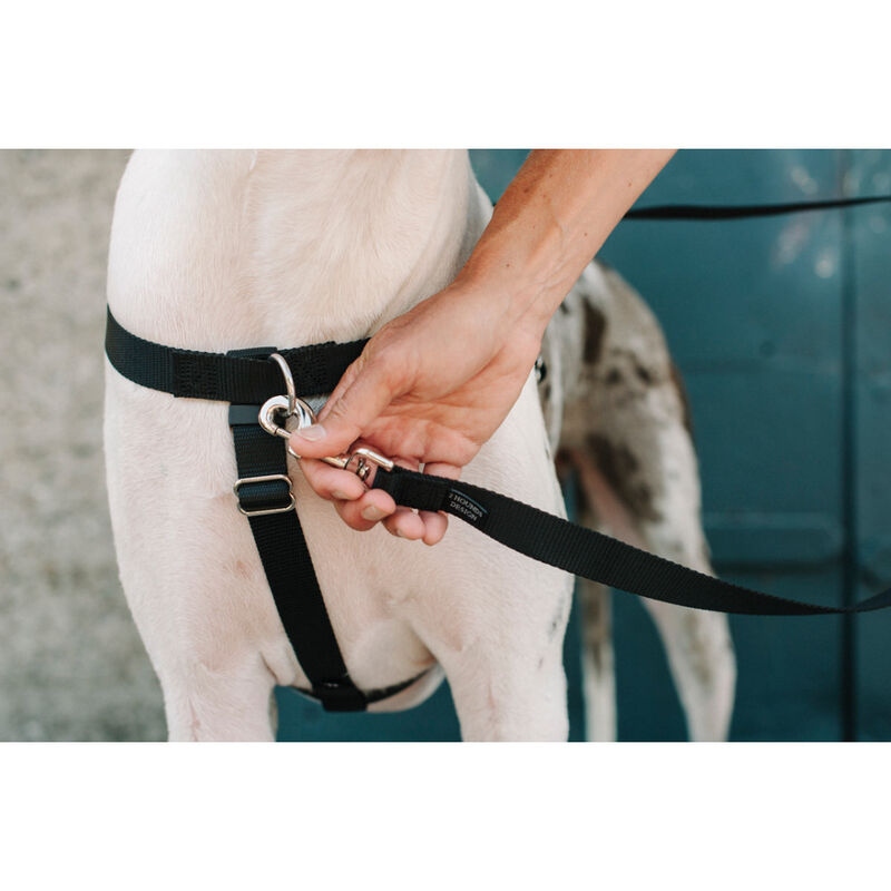 2 Hounds Design Freedom Training Dog Leash, Black image number null