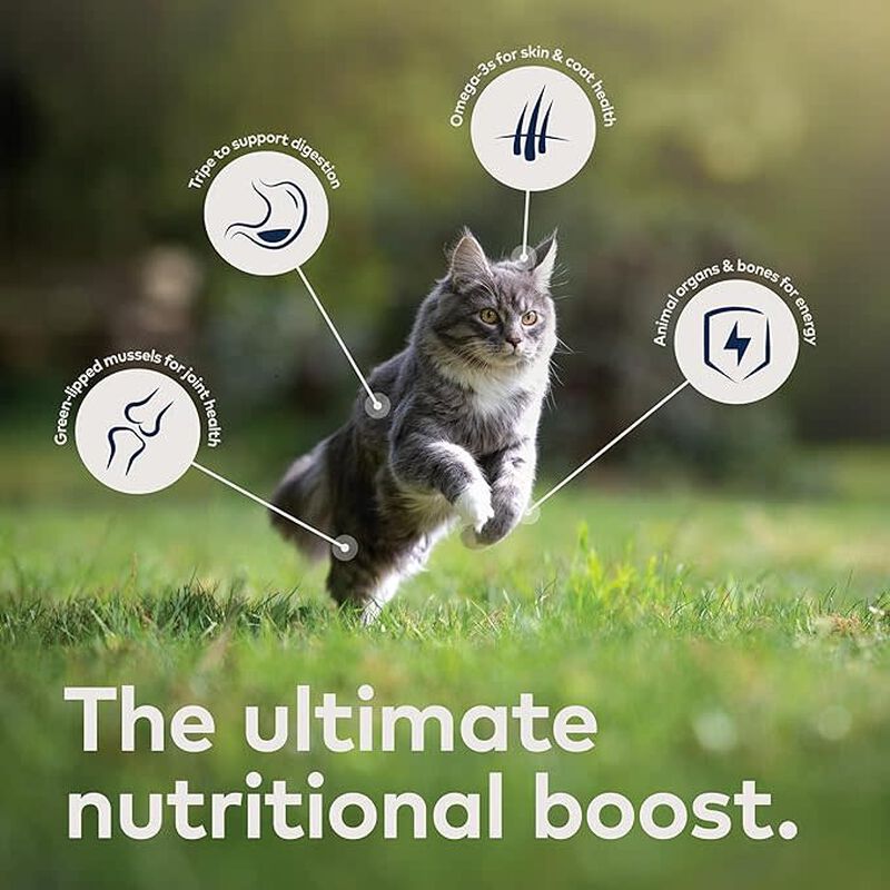 ZIWI Peak Original Series Canned Cat Food, Mackerel & Lamb, 3-oz image number null