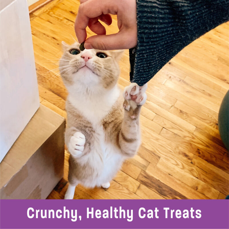 Wellness Kittles Crunchy Cat Treats, Chicken & Cranberries, 2-oz image number null