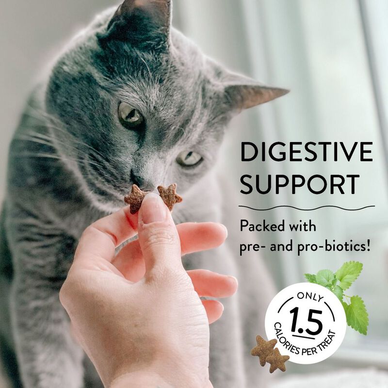 Shameless Pets Crunchy Cat Treats, Catnip N Chill, 2.5-oz image number null