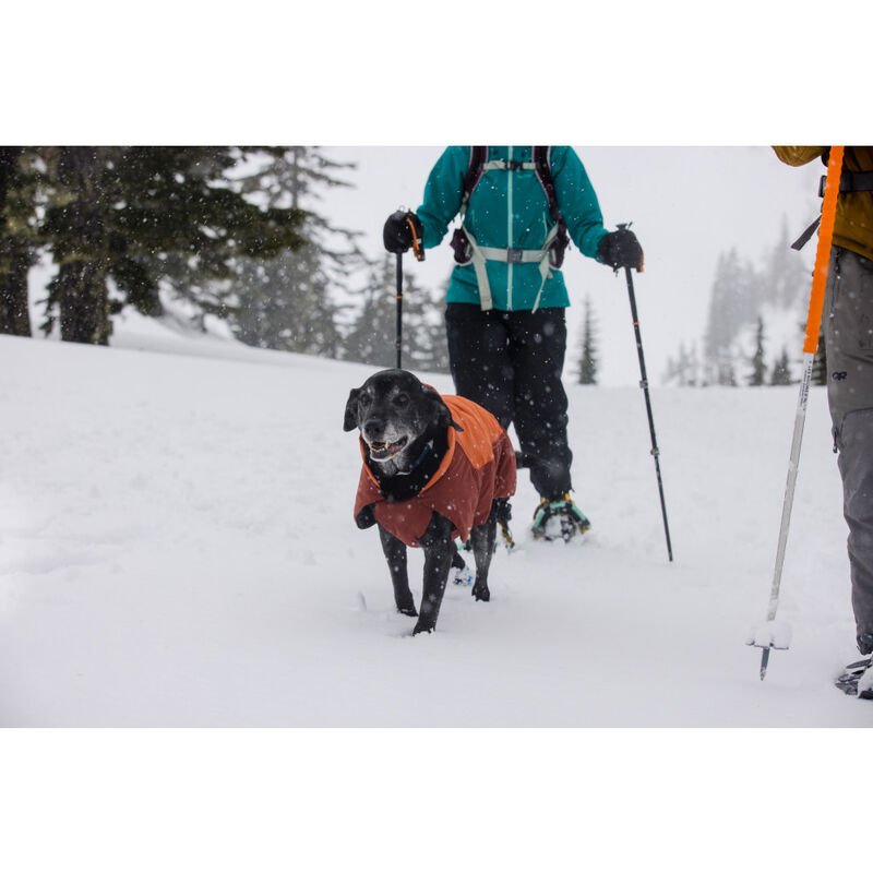 Ruffwear Vert Dog Jacket, Canyonlands Orange image number null