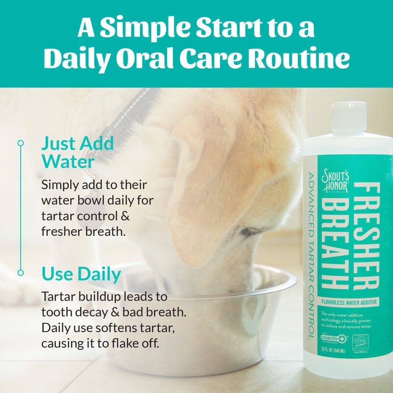 Skout's Honor Oral Care Water Additive for Pets, Flavorless, 32-oz image number null