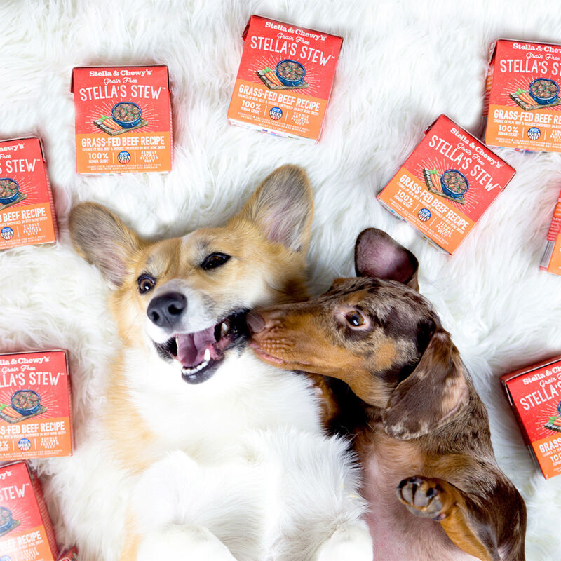 Stella & Chewy's Stella's Stew Wet Dog Food, Grass-Fed Beef, 11-oz image number null
