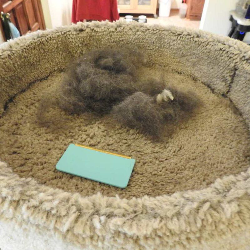 Uproot Cleaner Pet Hair Remover, Mini image number null