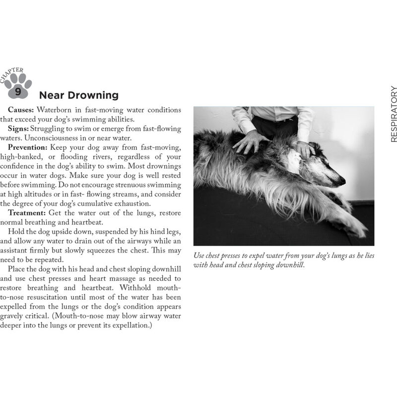 Adventure Medical Kits Canine Field Medicine Book image number null
