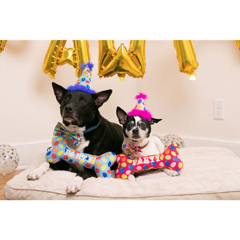 Huxley & Kent Pet Party Hat, Party Time Blue image number null