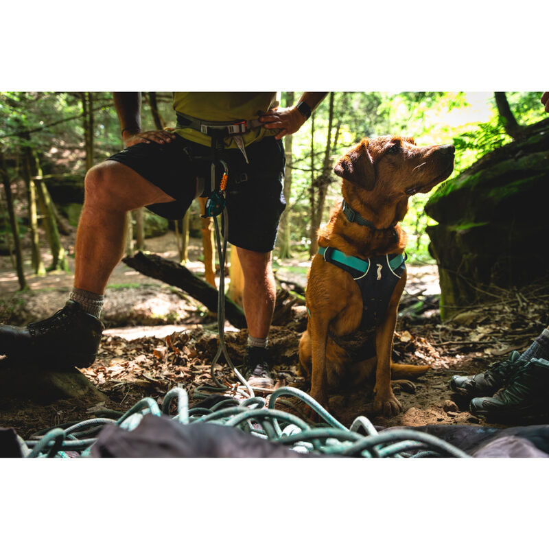 Ruffwear Flagline Dog Harness, Basalt Gray image number null