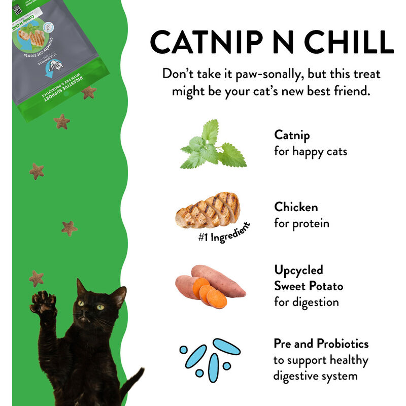 Shameless Pets Crunchy Cat Treats, Catnip N Chill, 2.5-oz image number null