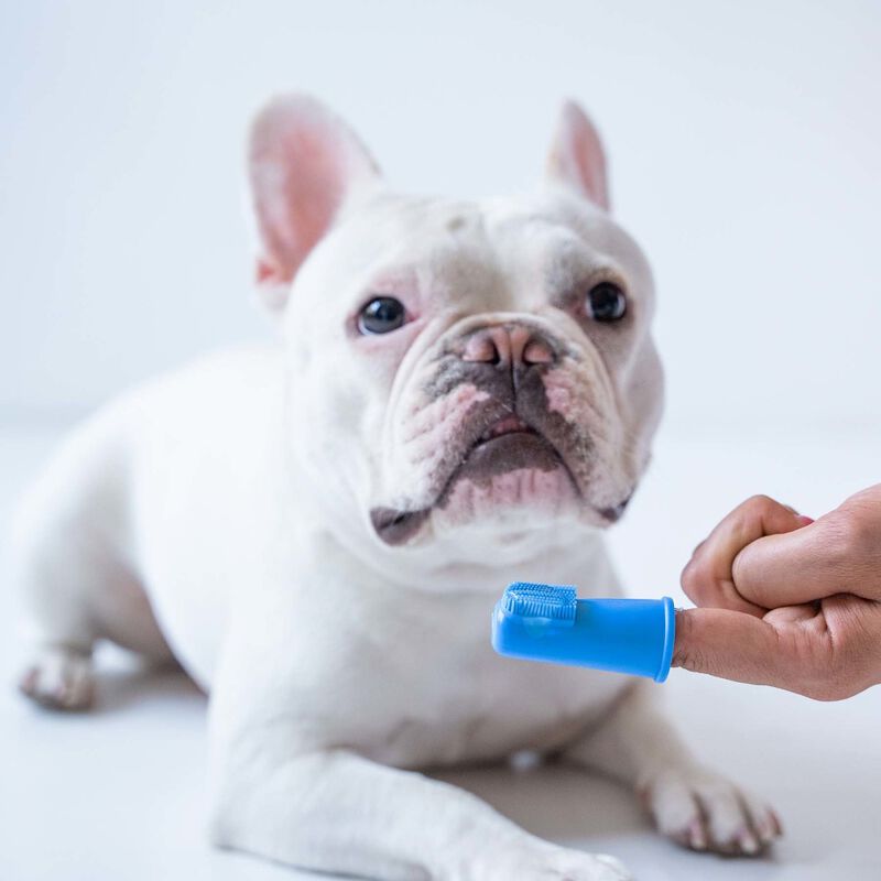 Oxyfresh Premium Pet Finger Toothbrush image number null