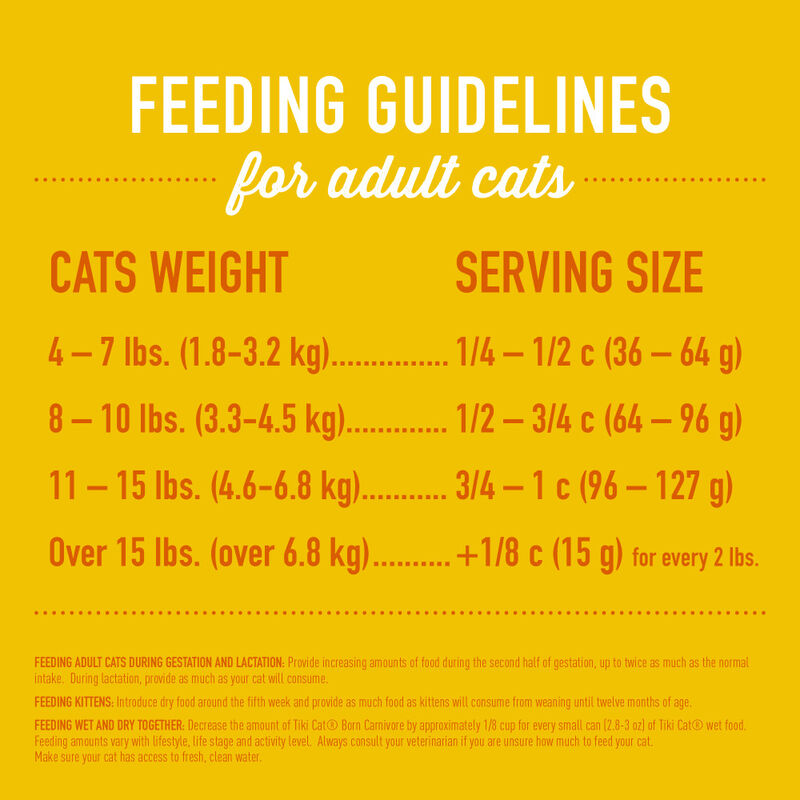 Tiki Cat Born Carnivore Dry Cat Food, High Protein, Chicken & Egg image number null