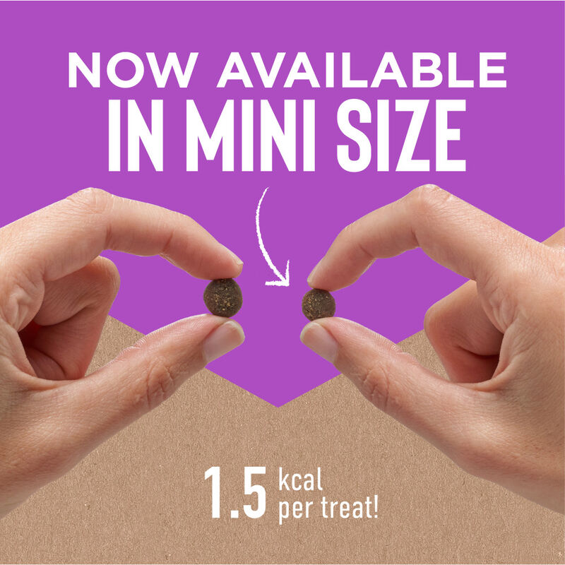 Cloud Star Tricky Trainers Soft & Chewy Dog Treats, Mini Liver, 5-oz image number null