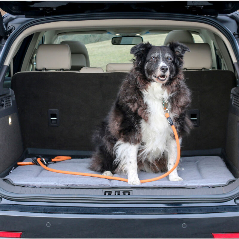 Tall Tails Dream Chaser Classic Dog Crate Bed image number null