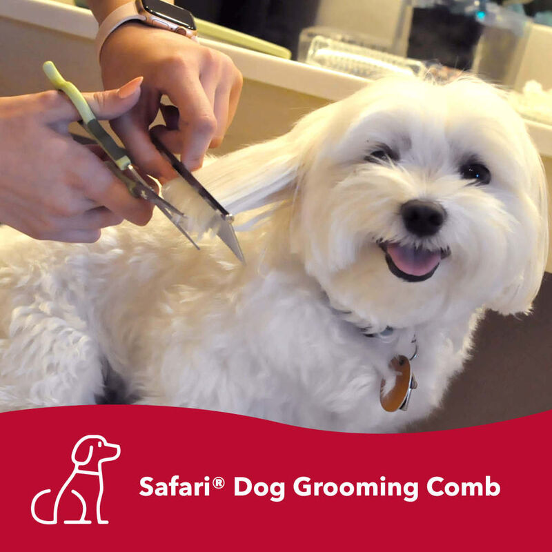 Safari Grooming Dog Comb for Medium and Coarse Coats image number null