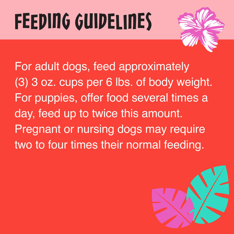 Tiki Dog Meaty Wet Dog Food, Chicken & Beef, 3-oz image number null