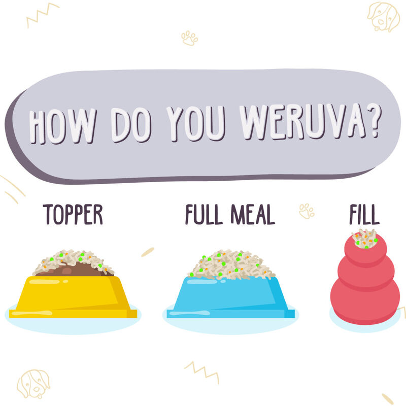 Weruva Classic Canned Dog Food, Steak Frites Dinner, Beef & Pumpkin, 14-oz image number null