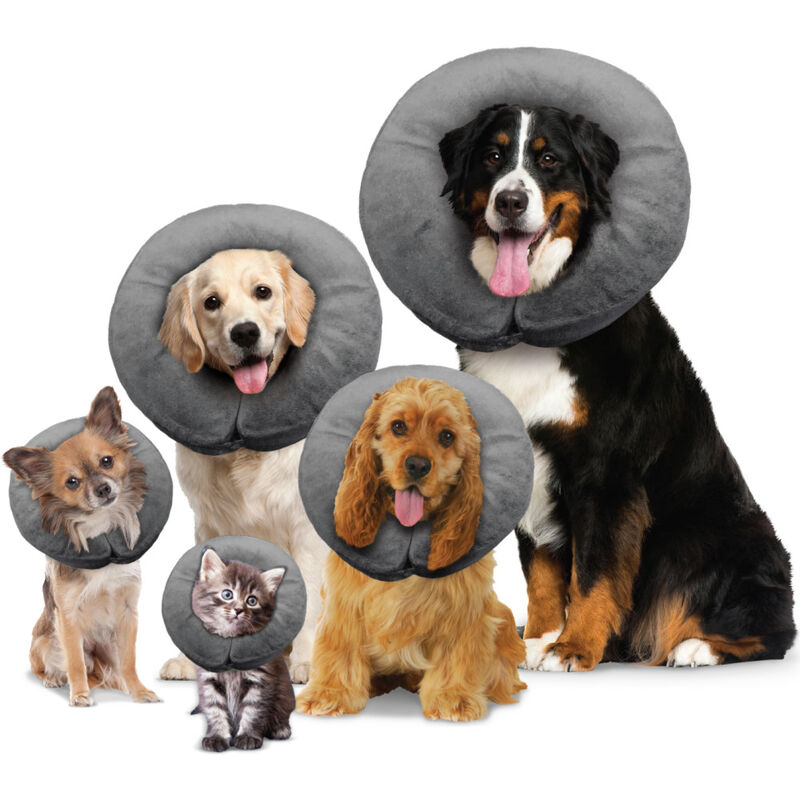 Arlee Pet Products Comfurt Collar Recovery Pet Collar image number null
