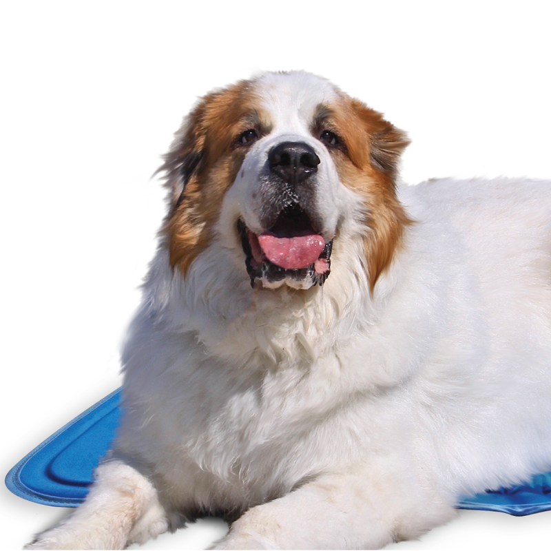The Green Pet Shop Self-Cooling Cool Pet Pad image number null