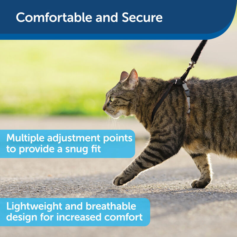 PetSafe Come With Me Kitty Harness & Bungee Cat Leash, Black/Silver image number null
