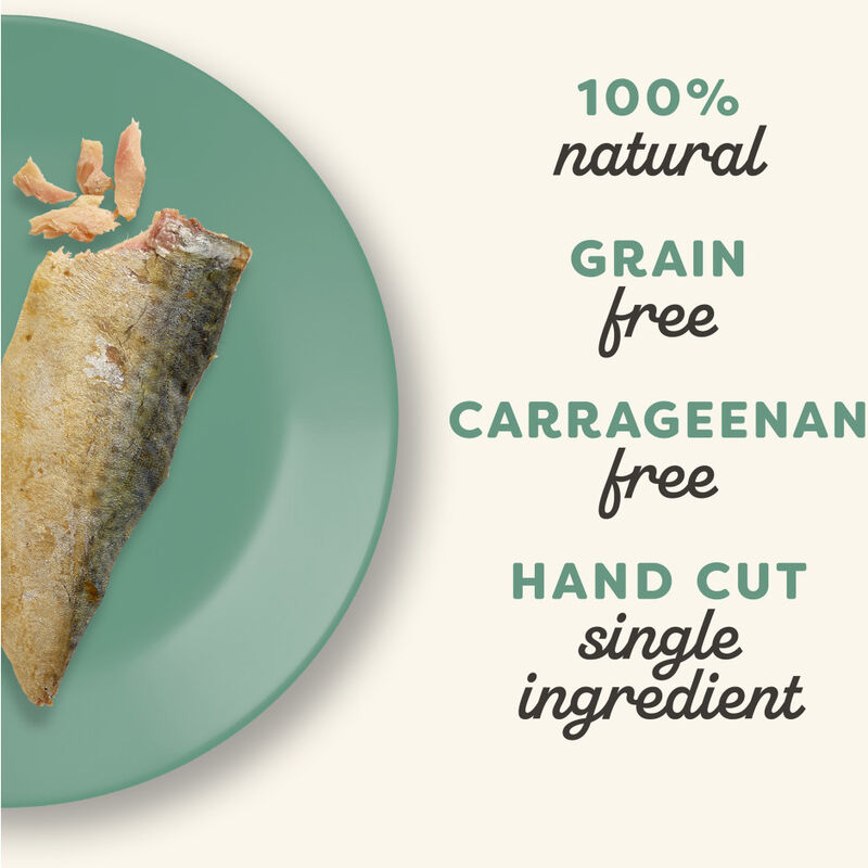 Applaws Natural Loin Cat Treat, Mackerel, 1.06-oz image number null